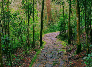 Galway's Land national park