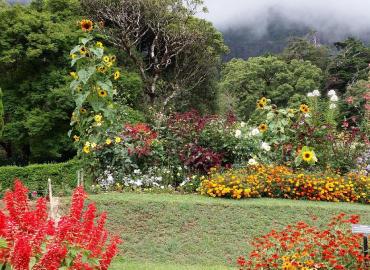 Hakgala Botanical Gardens