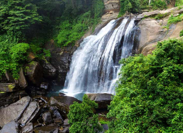 Udawatta Kele Sanctuary