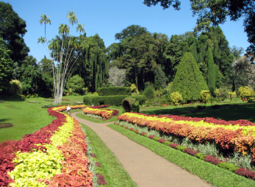 Parks and Gardens