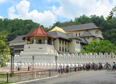 Tooth Relic