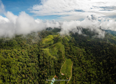 Sinharaja Forest Reserve
