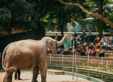 Dehiwala National Zoo